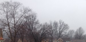 Featured Image -- 10